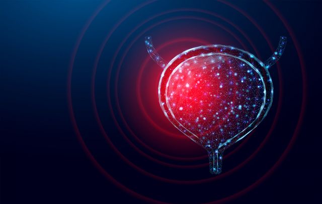 태범식 고려대 안산병원 비뇨의학과 교수는 통증 없는 혈뇨가 지속될 경우 방광암을 의심하고 검사를 진행해야 한다고 강조했다. 사진은 기사와 직접적인 관련 없음. /사진=이미지투데이