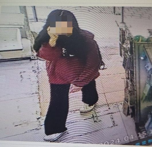 광주에서 사라진 여중생이 사흘 만에 경기도 이천의 한 빌라에서 발견돼 경찰이 해당 빌라를 제공한 남성에 대해 조사 중이다. 사진은 실종 당시 여중생 모습. /사진=경찰청 실종아동찾기센터 블로그