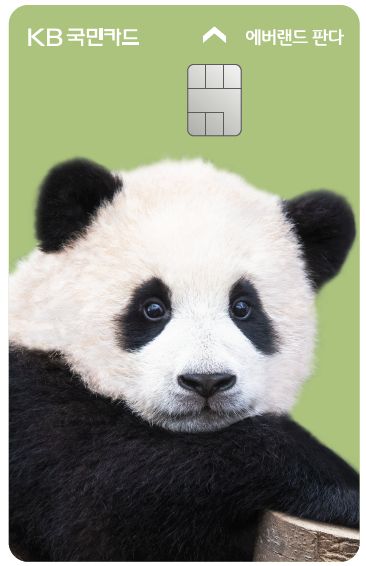 KB국민카드가 출시한 한정판 푸바오 카드./사진=KB국민카드