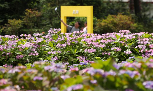 기상청에 따르면 목요일인 2일은 전국이 맑은 날씨를 보일 전망이다./사진=뉴시스