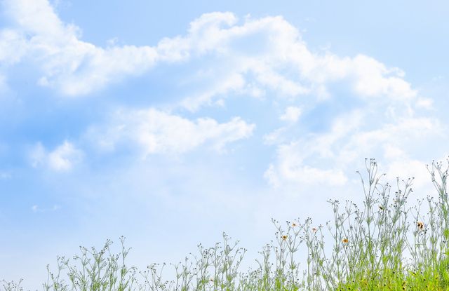 19일 아침 최저기온은 10∼18도, 낮 최고기온은 22∼31도로 예보됐다./사진=이미지투데이