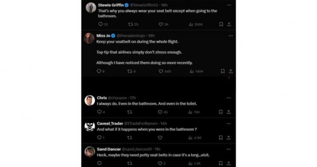 엑스(X·옛 트위터)에서는 일부 누리꾼들이 안전벨트 착용 문제를 주제로 트윗을 나눴다. /사진=엑스(X·옛 트위터)