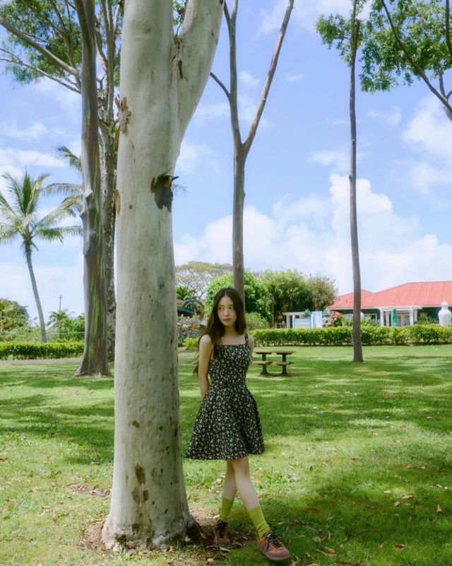 사진=이세영 인스타그램