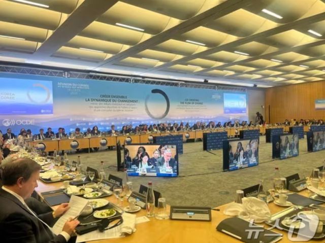 외교부가 OECD 각료이사회에 참석해 AI 관련한 투자 의지를 밝혔다./사진=뉴스1 