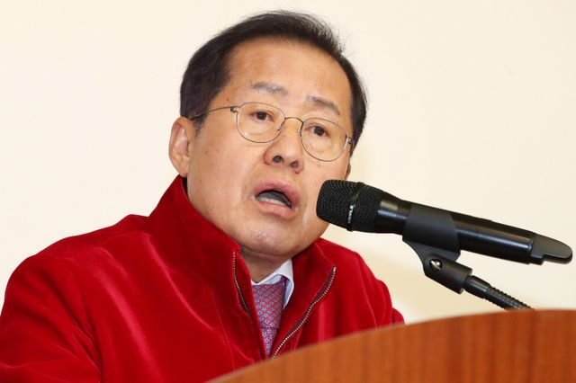 홍준표 대구시장이 자신을 향해 '돼지 발정제'를 거론한 임현택 대한의사협회(의협) 회장을 비판했다. 사진은 지난 1월 대구에서 열린 한 행사에 참석한 홍 시장. /사진=뉴스1