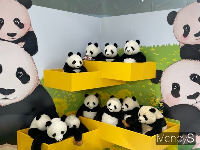 지난 21일 서울 여의도 더현대서울 5층 바오패밀리 팝업스토어에 바오패밀리 인형이 놓여있다. /사진=서지영 기자