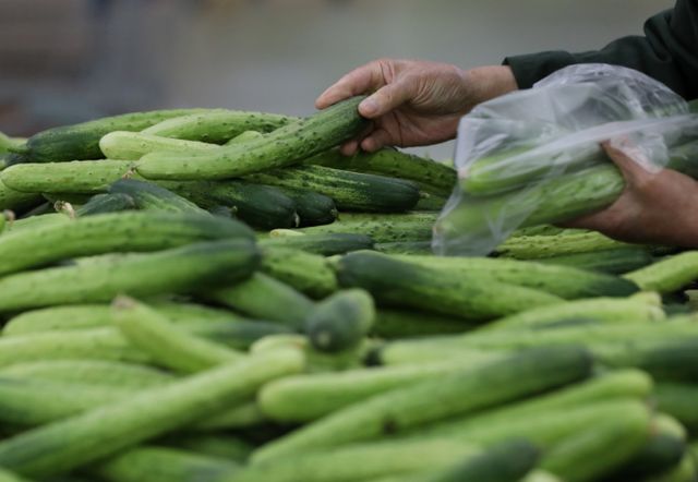 이번주 오이 가격이 크게 내렸다. 서울 시내 한 대형마트에서 소비자가 다다기오이를 고르고 있다. /사진=뉴시스