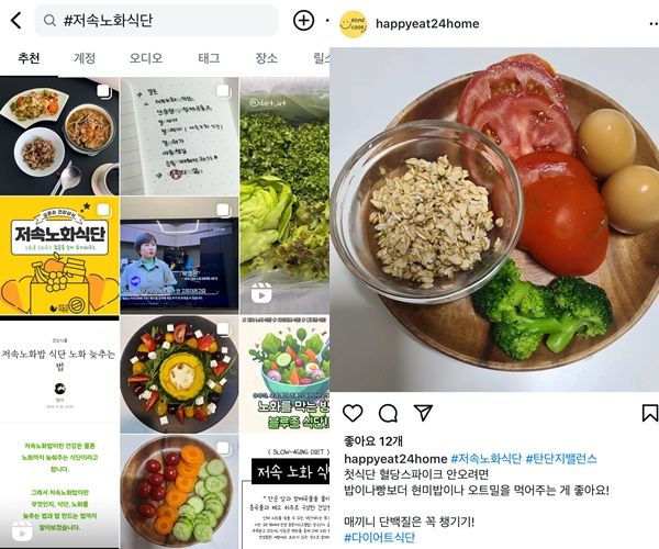 MZ세대가 자신의 SNS에 저속노화 식단을 공유하고 있다. 사진은 인스타그램에 게시된 저속노화 식단 게시물들(왼쪽)과 저속노화 식단을 공유한 A씨의 인스타그램. /사진= 왼쪽 인스타그램 화면, 오른쪽 happyat24home 인스타그램 게시물 화면