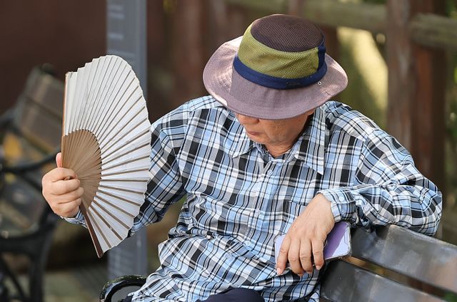 24일 전국이 무더운 날씨 속에 소나기가 내릴 것으로 예보됐다. 사진은 지난 19일 서울 중구 남산을 찾은 한 시민이 그늘에서 부채질을 하는 모습. /사진=뉴스1 