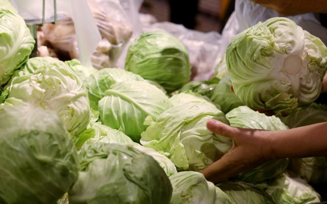 채솟값이 전반적으로 내림세다. 지난 4일 오전 서울의 한 마트를 찾은 시민이 채소류를 구매하고 있다. /사진=뉴스1