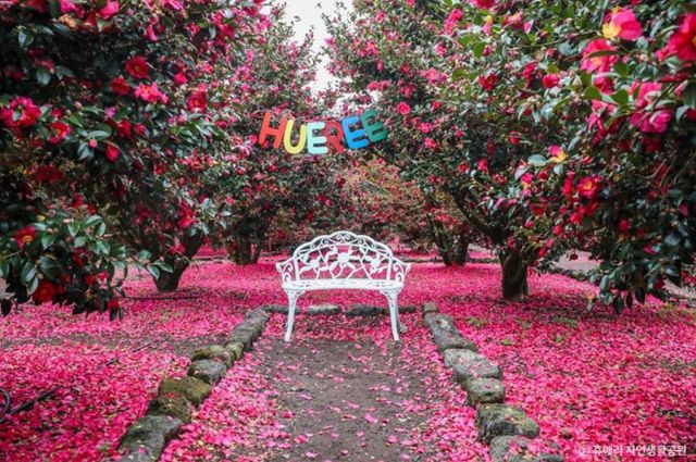 휴애리 자연생활공원은 계절마다 다른 꽃이 피고 체험 프로그램이 다양해 가족 단위로 방문하기 좋다. /사진=한국관광공사