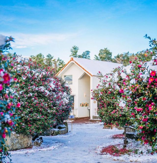 동백포레스트에 있는 카페는 동화 속 마을 같은 분위기를 자아낸다. /사진=한국관광공사