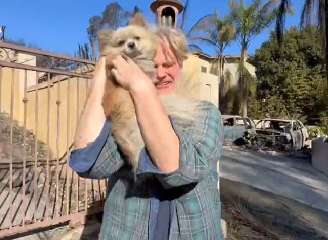 미국 캘리포니아주 로스앤젤레스(LA)에서 발생한 산불로 잃어버렸던 반려견과 상봉한 견주의 사연이 전해졌다./사진=엑스(X‧옛 트위터)