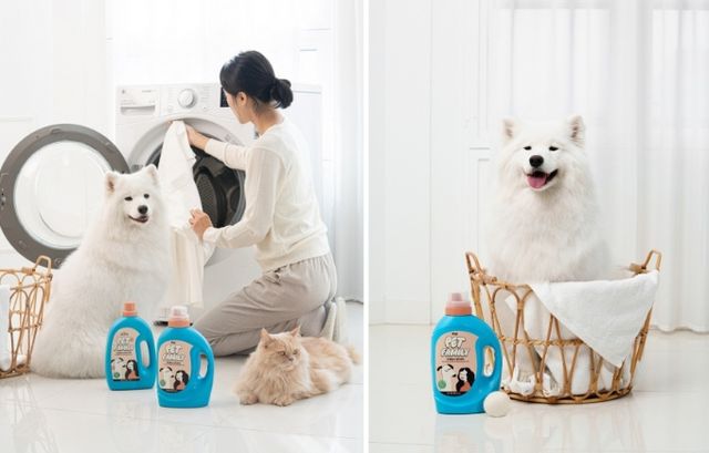 LG생활건강이 반려동물과 함께하는 가족을 위한 전문 브랜드 '팻-패밀리'를 선보였다. /사진=LG생활건강