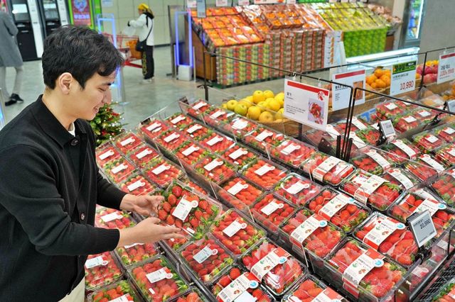 롯데마트는 스마트팜 등 차세대 농업 기술 농가를 확보해 시세보다 저렴한 가격에 신선한 딸기를 공급하고 있다. 롯데마트 제타플렉스 서울역점에 진열된 제철 딸기들. /사진=롯데마트