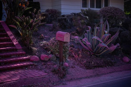 13일(현지시각) 캘리포니아주 LA 펠리세이즈 산불로 대피한 맨더빌 캐니언 한 주택에 분홍빛 화재 지연제가 살포된 모습. /사진=로이터