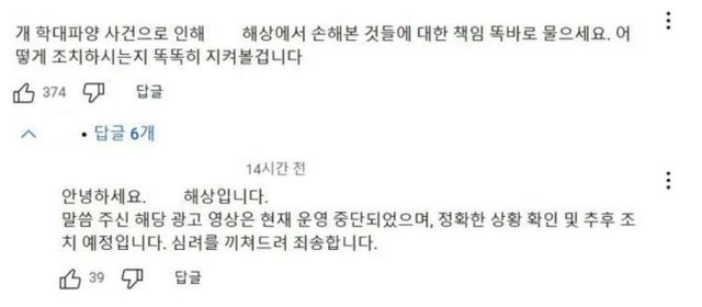 반려견 파양 소식을 전시한 여성의 딸이 유명 보험사 광고에 출연했다는 소식이 알려지며 뭇매를 맞고 있다. 사진은 해당 보험사 광고 영상에 달린 댓글. /사진=유튜브 캡처