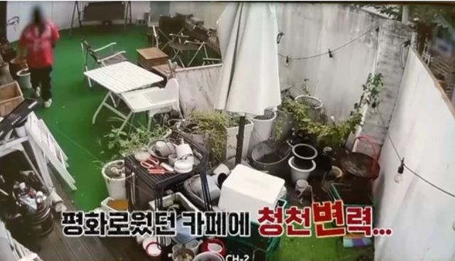 진상 손님들의 충격 만행에 방송인 한혜진이 경악을 금치 못했다. /사진=SBS PLUS 제공