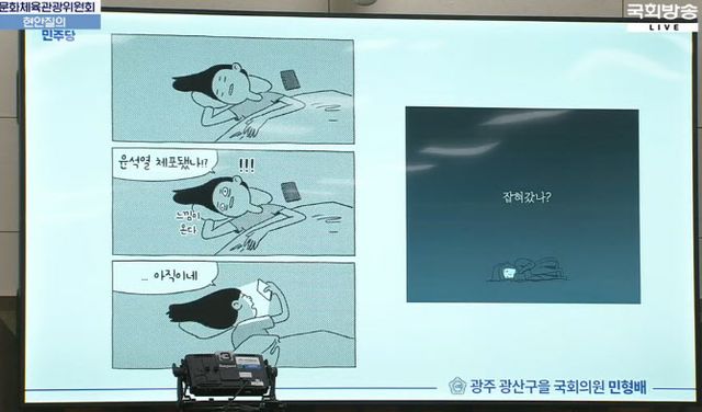 윤 대통령의 체포 소식에 온라인 상에서는 오랜만에 숙면했다는 이야기가 나오고 있다. 사진은 국민들이 '내란성 불면증'을 앓고 있다고 풍자하는 세컷만화. /사진=국회방송 캡처
