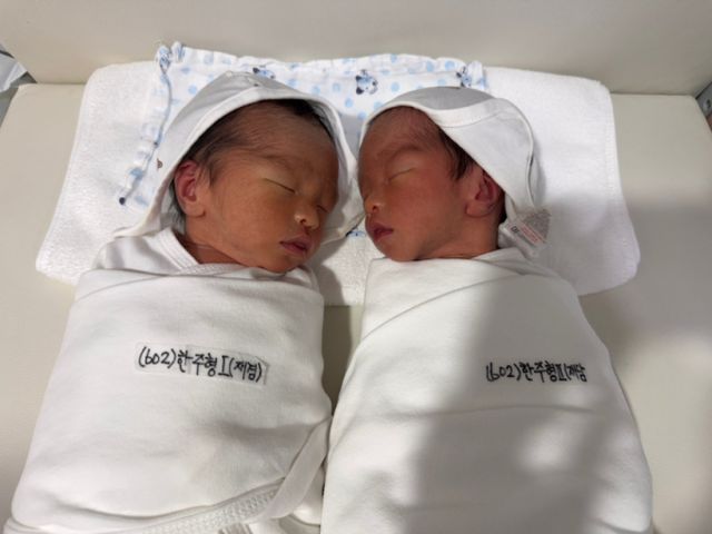 KT가 저출생 문제 해결을 위해 일과 가정이 양립할 수 있는 조직 문화를 정착했다. 사진은 KT서 인연을 맺은 이윤섭 과장과 한주형 과장 부부의 쌍둥이 모습. /사진=KT 제공 