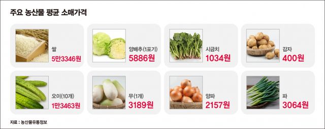 전주보다 감자·오이·양파 가격은 오르고 양배추·무·대파 값은 떨어졌다. 시금치 가격은 지난주와 동일했다. /그래픽=강지호 기자