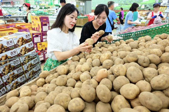 감자 가격이 지난주 대비 18% 오른 반면 대파 값은 10% 이상 하락했다. /사진=뉴시스