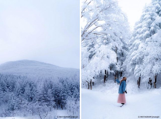 선자령은 해발고도는 높지만 등산길이 평탄해 많은 사랑을 받고 있는 겨울 트레팅 여행지다. /사진=한국관광공사