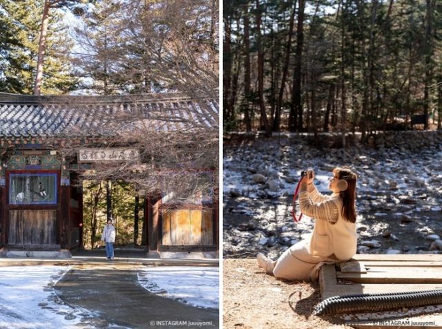 월정사 전나무 숲길은 드라마 '도깨비'의 배경이 된 곳이다. /사진=한국관광공사