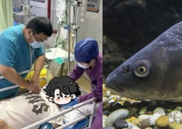 시력과 정력에 효과적이라는 말에 잉어 담즙을 먹었다가 응급실로 이송된 남성의 사연이 전해졌다. 사진은 응급실에 실려 간 중국 30대 남성 모습(왼쪽). /사진=자딘 닷 베트남