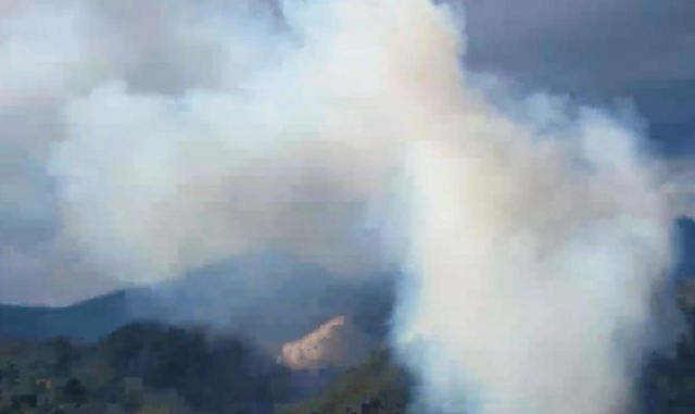 25일 오전 11시57분쯤 대구 동구 백안동의 한 야산에서 원인을 알 수 없는 불이나 1시간 33분만에 꺼졌다./사진= (산림청 제공) 