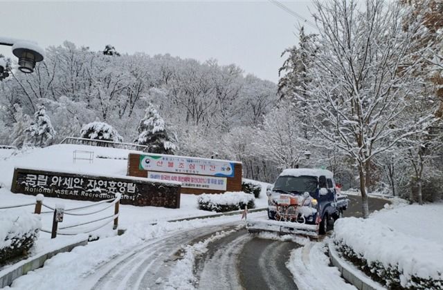 국립아세안 휴양림 제설 작업 모습. /사진=뉴스1(산림청 제공)