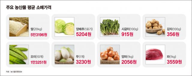 감자, 대파, 시금치, 양파 등이 지난주보다 내렸고 양배추, 오이는 오름세를 보였다./그래픽=김은옥 기자 