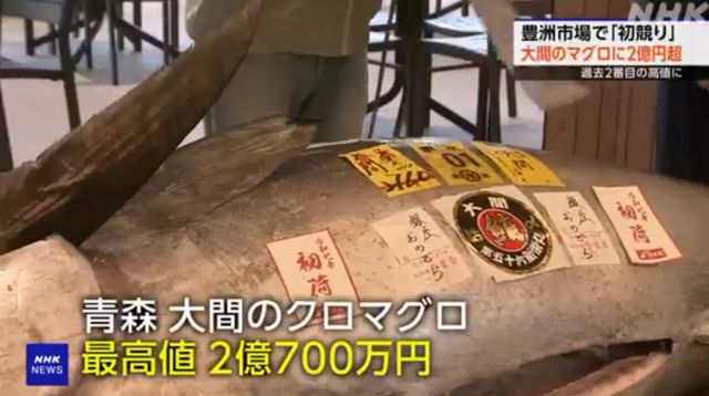 일본 도쿄 도요스 어시장에서 진행된 올해 첫 참치 경매에서 276㎏짜리 아오모리현 오마산 참다랑어가 2억700만엔(약 19억4000만원)에 낙찰돼 최고가를 기록했다. /사진=NHK 방송캡처