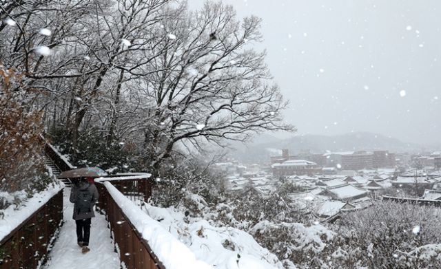 전북 무주에 눈이 17㎝ 쌓여 도로, 항공, 여객선 등도 통제되고 있다. 사진은 지난 8일 전북자치도 전주시 한옥마을 오목대 산책로에 눈이 쌓인 모습. /사진=뉴스1 