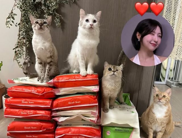 한 반려동물 임시 보호소에서 배우 주현영의 기부 소식을 전했다. /사진=뿌뿌네 공식 인스타그램