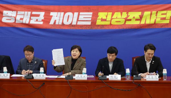 더불어민주당이 정치브로커 명태균의 공천 개입 의혹 사건 특검법을 오는 27일 본회의에 처리할 방침이다. 사진은 더불어민주당 명태균 게이트 진상조사단이 회의에서 '검찰의 명태균 리스트 중간 수사결과 발표'에 대해 문제를 지적하는 모습. /사진=뉴시스