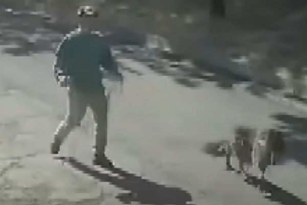 애견 카페 앞 나무에 반려견을 유기하고 도주한 남성이 공개됐다. 사진은 남성이 유기 전 반려견을 데리고 산책하는 모습. /사진=JTBC 사건반장 캡처