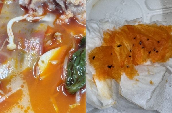 별점 5점짜리 식당에서 주문한 마라탕에서 수십마리의 벌레가 나왔다는 사연이 전해졌다. 사진은 글쓴이가 마라탕에서 나왔다고 주장한 벌레 모습. /사진=온라인커뮤니티 캡처