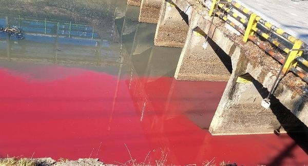 대구 염색공단 인근 하천에서 연붉은빛을 띠는 폐수가 흘러나오는 모습이 포착됐다. 사진은 24일 오후 2시30분쯤 대구 서구 염색산업단지 일대 공단천 하수관로에 연붉은빛을 띠는 폐수가 흐르고 있는 모습. /사진=뉴시스(이주한 대구 서구의원 제공)