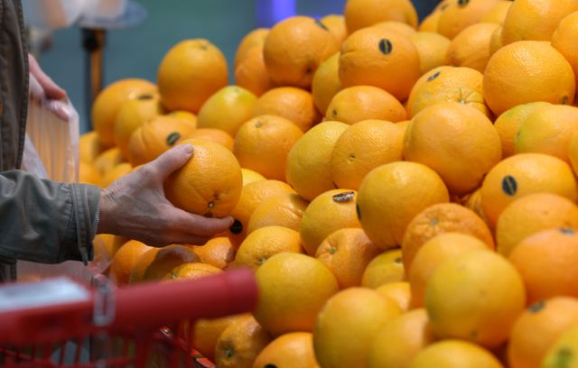 하버드 의대 교수이자 의사인 라지 메타와 차트폴 사무트퐁톤 박사가 오렌지, 레몬, 자몽과 같은 감귤류 과일을 자주 섭취하면 우울증 위험이 22% 줄어든다는 연구 결과를 밝혔다. 사진은 지난해 4월1일 서울 시내 한 대형마트에서 시민들이 오렌지를 구입하는 모습. /사진=뉴시스 