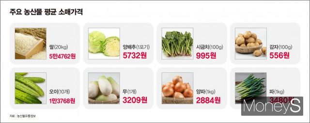 시금치와 대파 등 대부분 채소 가격이 전주 대비 내렸다. /인포그래픽=김은옥 기자