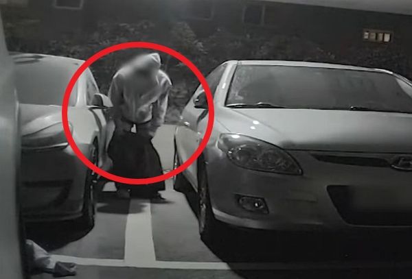 술에 취한 고등학생이 테슬라 차량 2대를 훼손한 사연이 전해졌다. 사진은 술에 취한 고등학생이 A씨 부인 차량 옆에서 바지를 벗는 모습. /사진=유튜브 채널 '한문철TV' 캡처