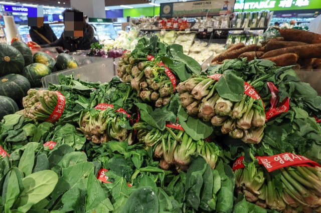 전주 대비 시금치와 대파 등 주요 농산물의 가격이 내렸다. 서울 소재 한 대형마트에서 고객이 시금치를 들여다 보고 있다. /사진=뉴스1