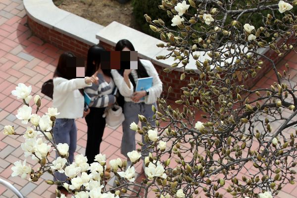 오는 14일에는 전국이 대체로 맑겠다. 사진은 기사의 이해를 돕기 위한 평년 기온을 웃도는 포근한 날씨가 이어진 13일 대구 북구 영진전문대 복현캠퍼스에 핀 목련이 완연한 봄소식을 전하고 있는 모습. /사진=뉴스1