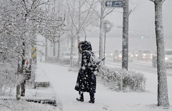 폭설로 인해 의정부경전철 운행이 한때 중단돼 출근길 시민들이 불편을 겪었다. 사진은 기사의 이해를 돕기 위한 18일 오전 광주 남구 진월동 한 공원에 눈이 내리고 있는 모습. /사진=뉴시스