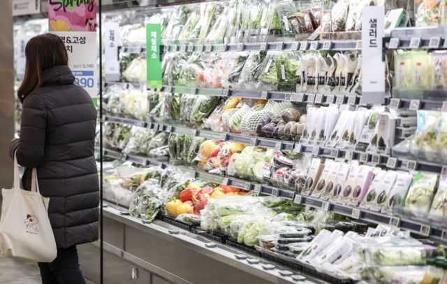 서울시내 대형마트를 찾은 시민들이 장을 보고 있다. / 사진=뉴시스 정병혁 기자 