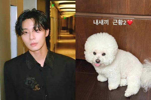 배우 박서준이 김수현을 저격했다는 논란에 휩싸인 가운데 평온한 일상을 공유하며 팬들과 소통했다./사진=박서준 인스타그램