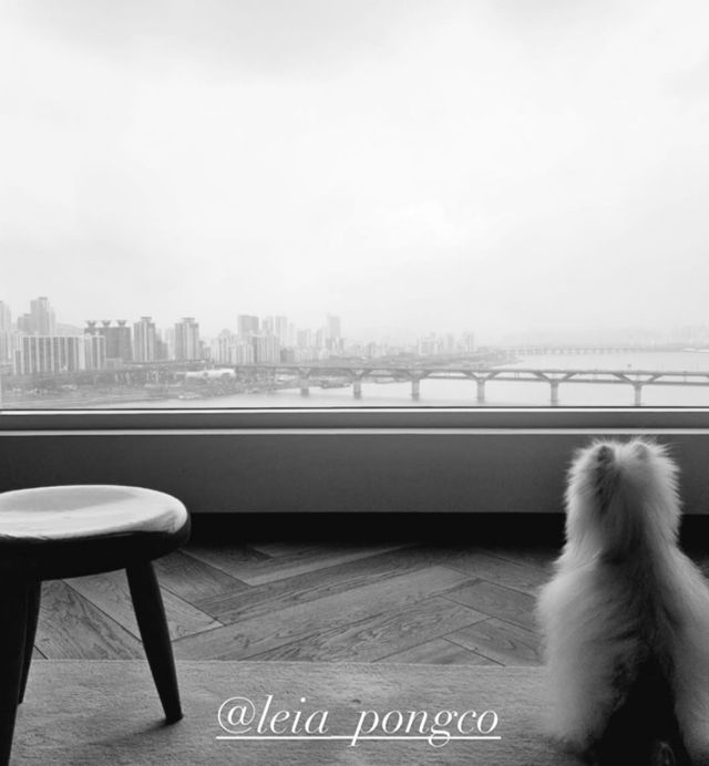 배우 고소영이 인스타그램을 통해 자신의 일상을 공개했다. /사진=고소영 인스타그램