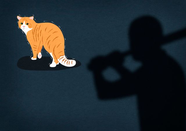 이유없이 새끼고양으를 학대한 30대가 실형선고를 받고 법정구속됐다. 사진은 기사내용과 무관함. /사진=이미지투데이