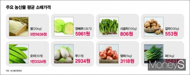 대부분 농산물 값이 전주 대비 내렸다. /그래픽=김은옥 기자